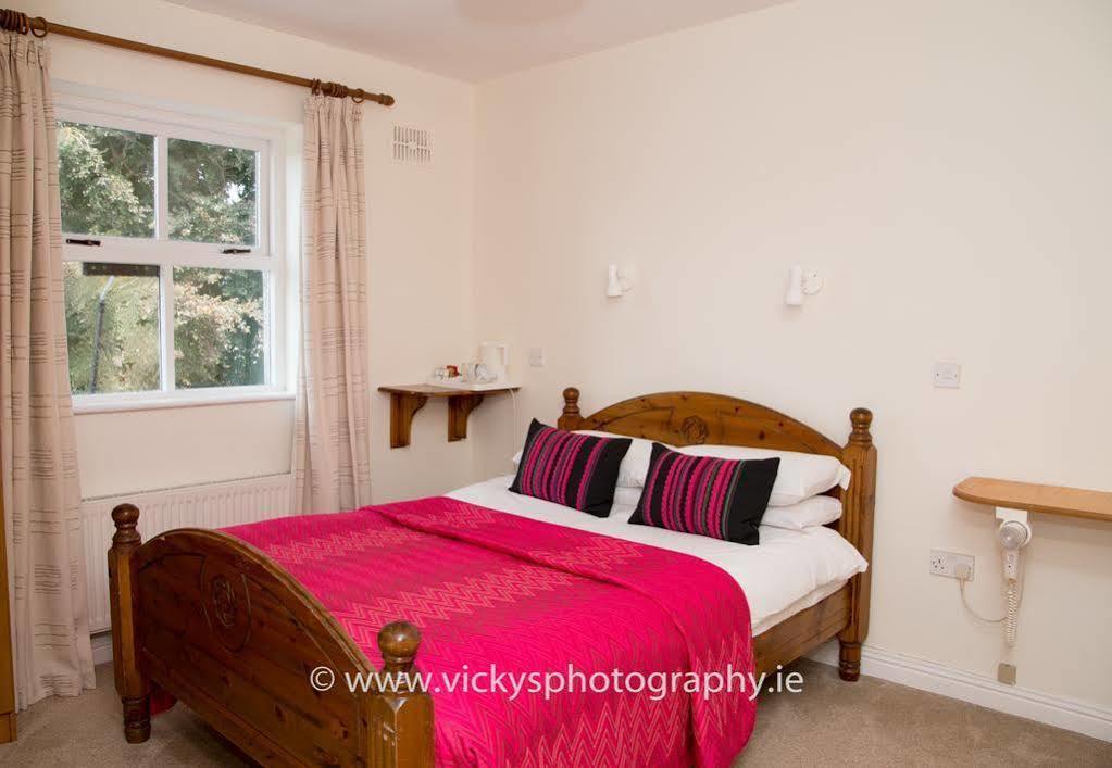 Bed and Breakfast The Townhouse Kilkenny Exterior foto
