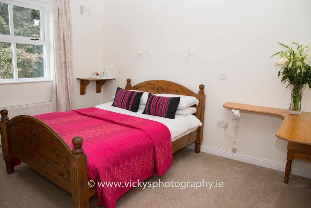 Bed and Breakfast The Townhouse Kilkenny Exterior foto